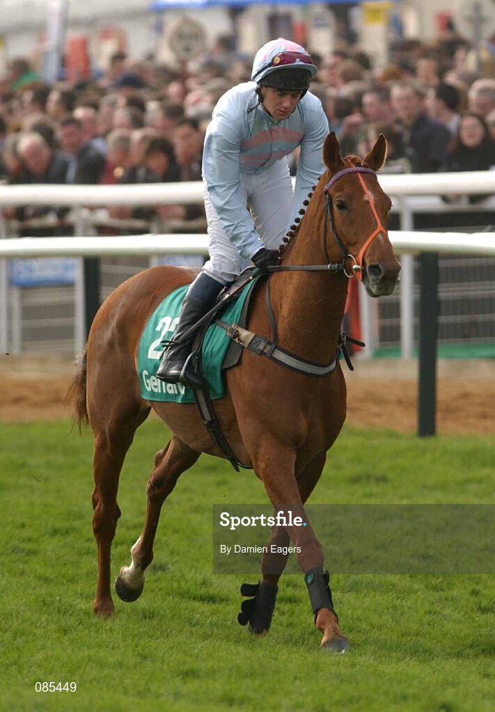 12 March 2002; Three Lions, with F Keniry up, during Day One of the Cheltenham Racing Festival at Prestbury Park in Cheltenham, England. Photo by Damien Eagers/Sportsfile