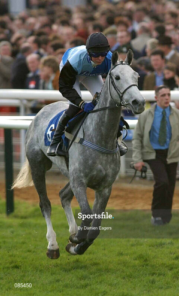 12 March 2002; Valigan with Mr P Robson up, during Day One of the Cheltenham Racing Festival at Prestbury Park in Cheltenham, England. Photo by Damien Eagers/Sportsfile