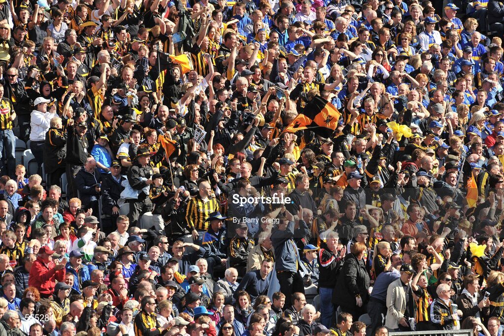 4 September 2011; Kilkenny supporters celebrate after Michael Fennelly scored their side's opening goal of the game. Supporters at the GAA Hurling All-Ireland Championship Finals, Croke Park, Dublin. Picture credit: Barry Cregg / SPORTSFILE