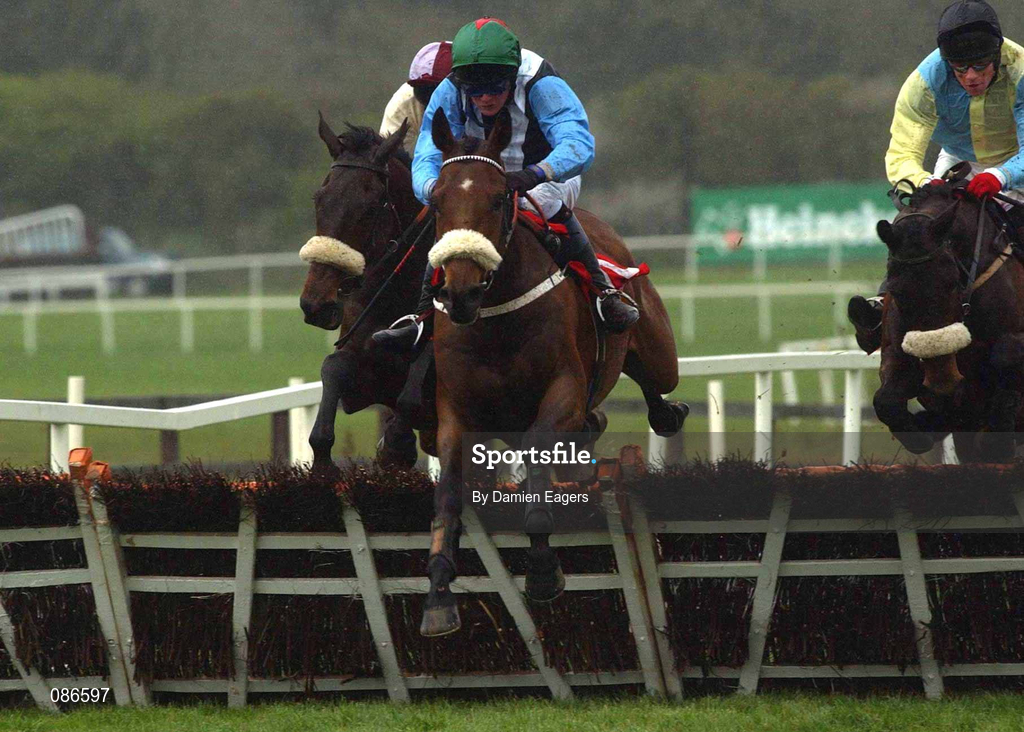 27 April 2002; Castle Kevin, with Adrian Lane up, clears the last on their way to winning the Blessington Maiden Hurdle at Punchestown Racecourse in Naas, Kildare. Photo by Damien Eagers/Sportsfile