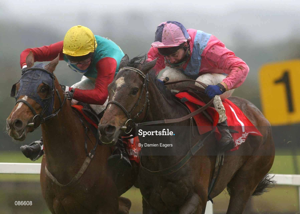 27 April 2002; One Night, out with David Casey up, right runs clear of Hill Port, Sean McDermott, on their way to winning the RFL Steel Novice Hurdle at Punchestown Racecourse in Naas, Kildare. Photo by Damien Eagers/Sportsfile