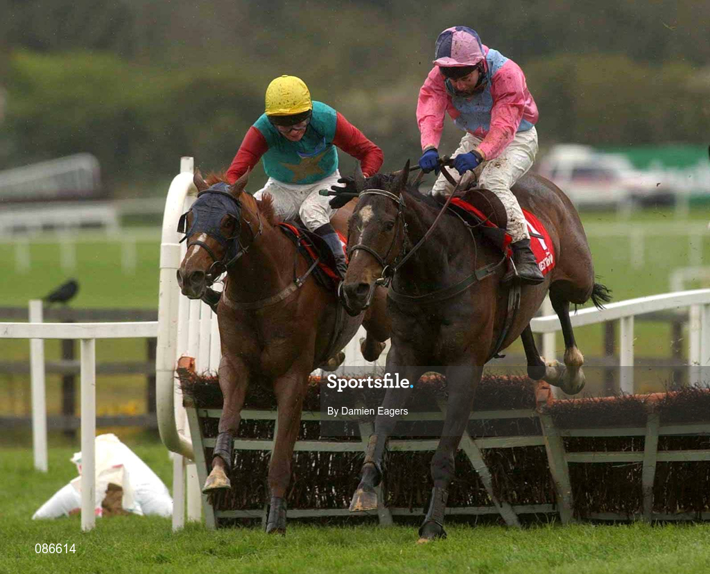 27 April 2002; One Night out, with David Casey up, pink, clears the last ahead of Hill Port with Sean McDermott up on the way to winning the RFL Steel Novice Hurdle at Punchestown Racecourse in Naas, Kildare. Photo by Damien Eagers/Sportsfile