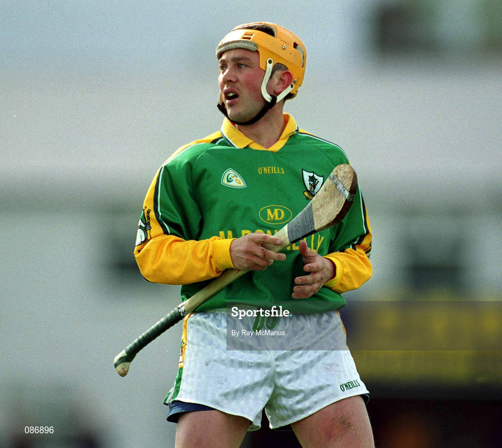 28 April 2002; Mick Cole of Meath during the Guinness Leinster Senior Hurling Championship First Round match between Carlow and Meath at Dr Cullen Park in Carlow. Photo by Ray McManus/Sportsfile