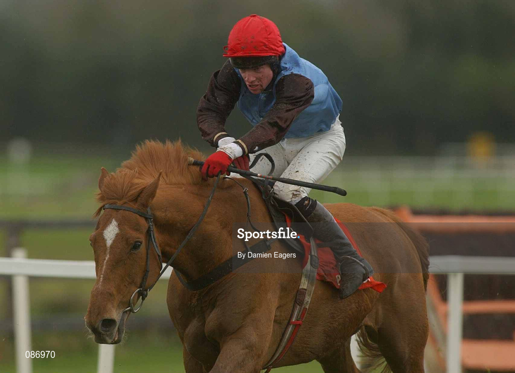 27 April 2002; Blushing Sand with Martin Mooney up, at Punchestown Racecourse in Naas, Kildare. Photo by Damien Eagers/Sportsfile