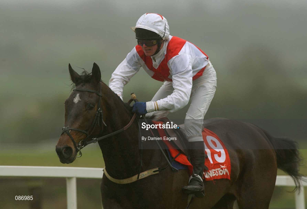 27 April 2002; Lucky Leitrim, with John Butler up, at Punchestown Racecourse in Naas, Kildare. Photo by Damien Eagers/Sportsfile