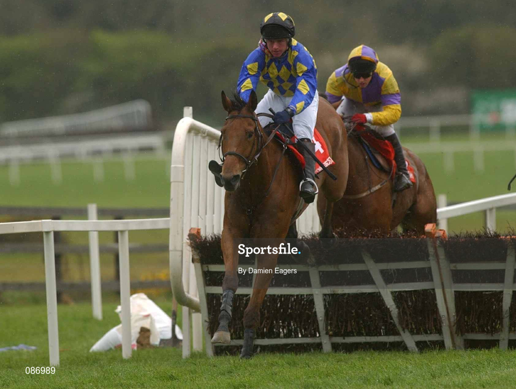 27 April 2002; The Premier Cat with Mr M.A Cahill up clears the last first time around during The RFL Steel Novice Hurdle at Punchestown Racecourse in Naas, Kildare. Photo by Damien Eagers/Sportsfile