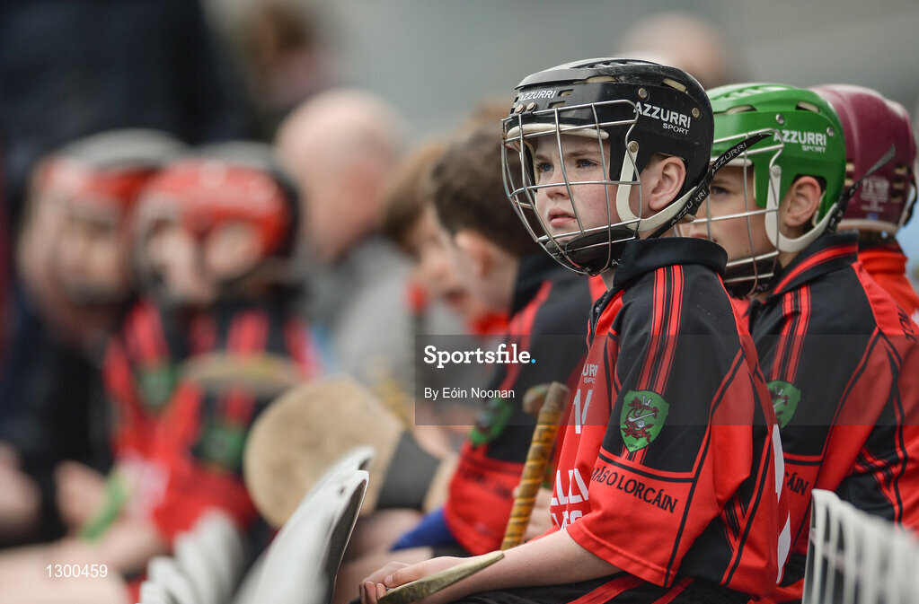 13 April 2017; A young player representing Tommy Larkin's GAA Club, Co. Galway, watching on during the Go Games Provincial Days in partnership with Littlewoods Ireland Day 4 at Croke Park in Dublin. Photo by Eóin Noonan/Sportsfile