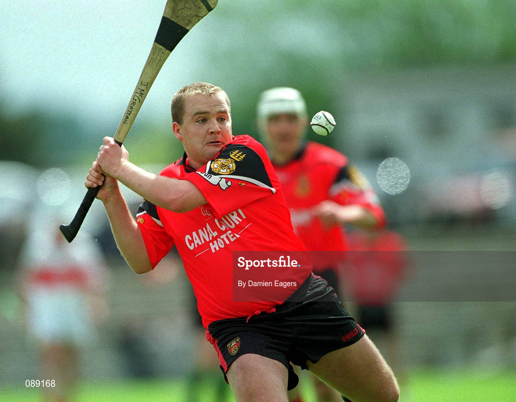 25 May 2002; Johnny McGrattan of Down during the Guinness Ulster Senior Hurling Championship Semi-Final match between Down and Derry at Casement Park in Belfast. Photo by Damien Eagers/Sportsfile