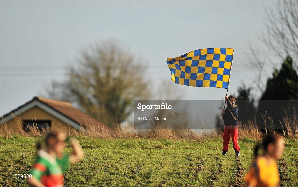 27 November 2011; A young Na Fianna supporter waves a flag during the game. Tesco All-Ireland Senior Ladies Football Club Championship Final, Carnacon v Na Fianna, Ballymahon, Co. Longford. Picture credit: David Maher / SPORTSFILE
