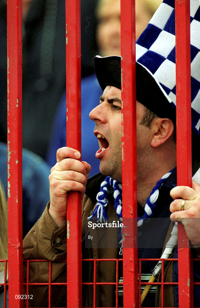 30 June 2002; Waterford fan Derek Ryan cheers on his side during the game. Waterford v Tipperary, Guinness Munster Hurling Final, Pairc Ui Chaoimh, Cork. Picture credit; Ray McManus / SPORTSFILE