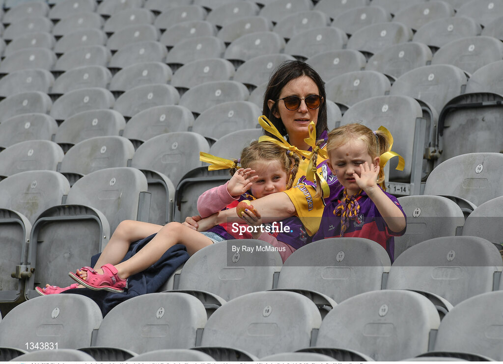 2 July 2017; Wexford supporters relax in the Cusack Stand before the Leinster GAA Hurling Senior Championship Final match between Galway and Wexford at Croke Park in Dublin. Photo by Ray McManus/Sportsfile