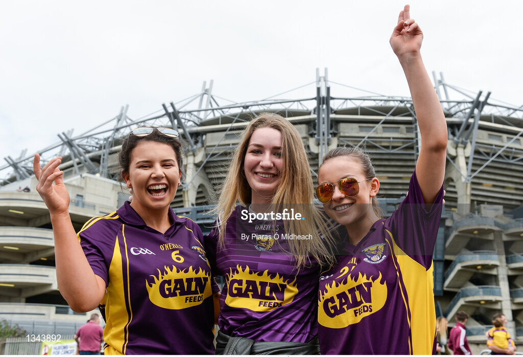 2 July 2017; Wexford supporters ahead of the Leinster GAA Hurling Senior Championship Final match between Galway and Wexford at Croke Park in Dublin. Photo by Piaras Ó Mídheach/Sportsfile