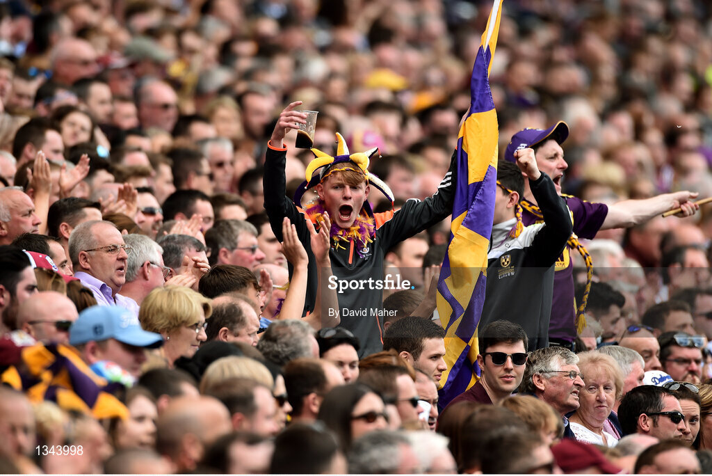2 July 2017; Wexford supporters during the Leinster GAA Hurling Senior Championship Final match between Galway and Wexford at Croke Park in Dublin. Photo by David Maher/Sportsfile