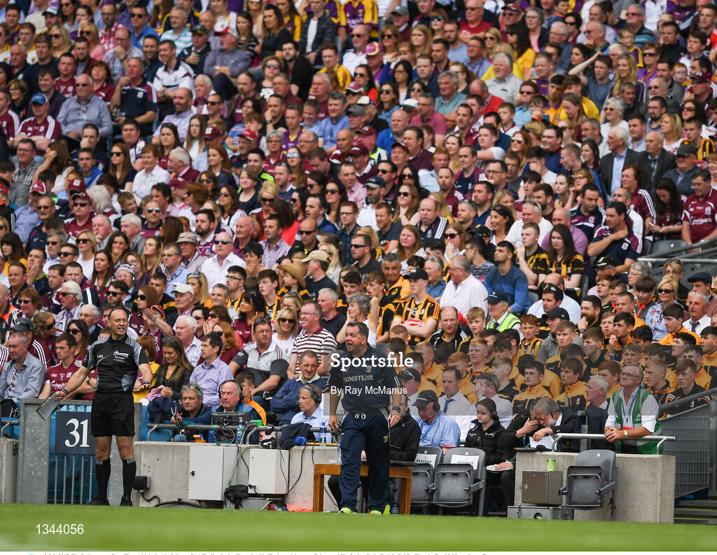 2 July 2017; Wexford manager Davy Fitzgerald during the Leinster GAA Hurling Senior Championship Final match between Galway and Wexford at Croke Park in Dublin. Photo by Ray McManus/Sportsfile