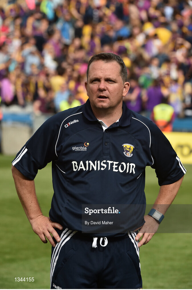 2 July 2017;  Wexford Davy Fitzgerald at the end of the Leinster GAA Hurling Senior Championship Final match between Galway and Wexford at Croke Park in Dublin. Photo by David Maher/Sportsfile