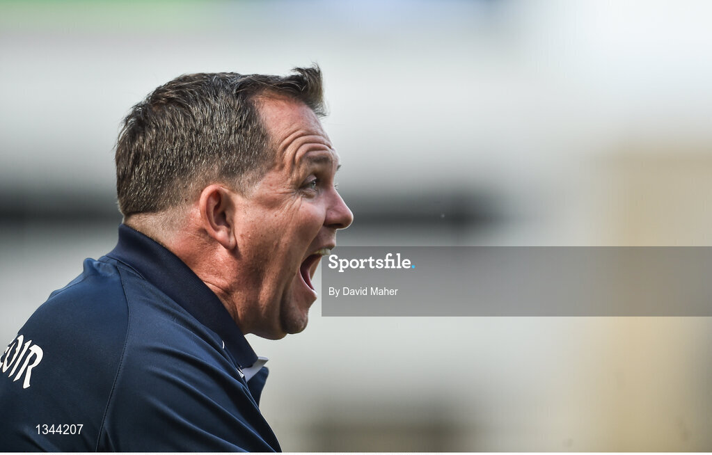 2 July 2017; Davy Fitzgerald manager of Wexford during the Leinster GAA Hurling Senior Championship Final match between Galway and Wexford at Croke Park in Dublin. Photo by David Maher/Sportsfile