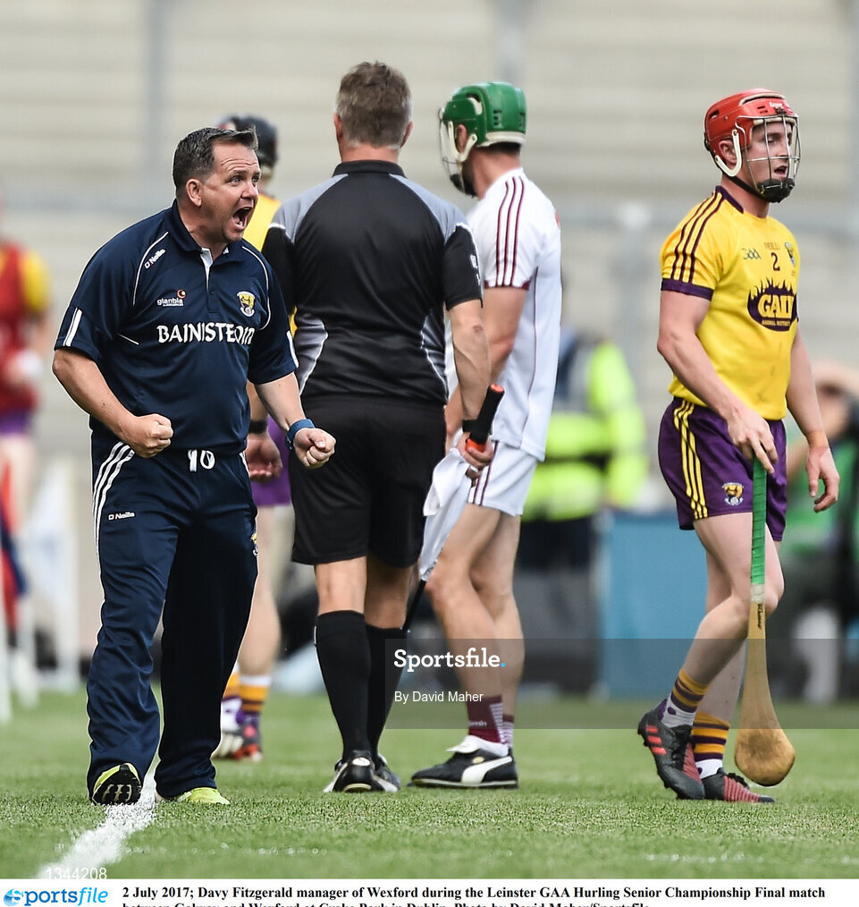 2 July 2017; Davy Fitzgerald manager of Wexford during the Leinster GAA Hurling Senior Championship Final match between Galway and Wexford at Croke Park in Dublin. Photo by David Maher/Sportsfile