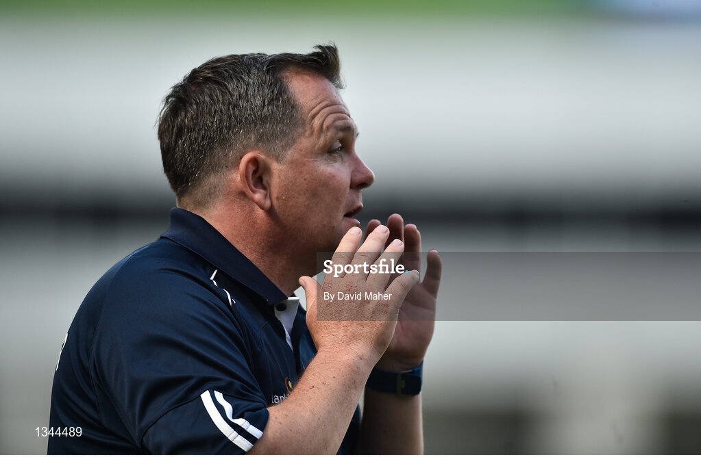 2 July 2017; Davy Fitzgerald manager of Wexford during the Leinster GAA Hurling Senior Championship Final match between Galway and Wexford at Croke Park in Dublin. Photo by David Maher/Sportsfile