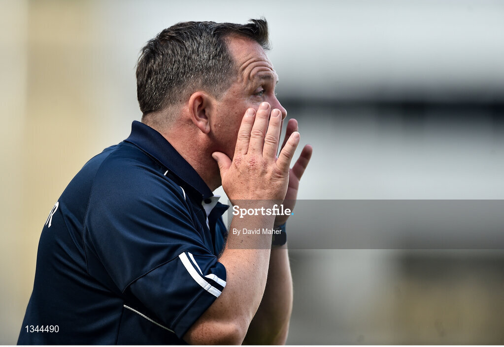 2 July 2017; Davy Fitzgerald manager of Wexford during the Leinster GAA Hurling Senior Championship Final match between Galway and Wexford at Croke Park in Dublin. Photo by David Maher/Sportsfile