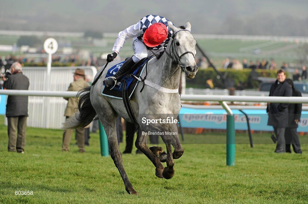 14 March 2012; Simonsig, with Barry Geraghty up, races clear of the last on their way to winning the Neptune Investment Management Novices' Hurdle. Cheltenham Racing Festival, Prestbury Park, Cheltenham, England. Picture credit: Brendan Moran / SPORTSFILE