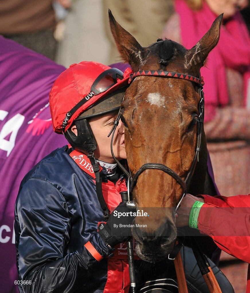 14 March 2012; Jockey Barry Geraghtty kisses Bobs Worth after winning the RSA Steeple Chase. Cheltenham Racing Festival, Prestbury Park, Cheltenham, England. Picture credit: Brendan Moran / SPORTSFILE