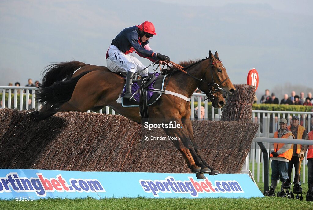 14 March 2012; Bobs Worth, with Barry Geraghty up, clears the last ahead of First Lieutenant, hidden, with Davy Russell up, on their way to winning the RSA Steeple Chase. Cheltenham Racing Festival, Prestbury Park, Cheltenham, England. Picture credit: Brendan Moran / SPORTSFILE