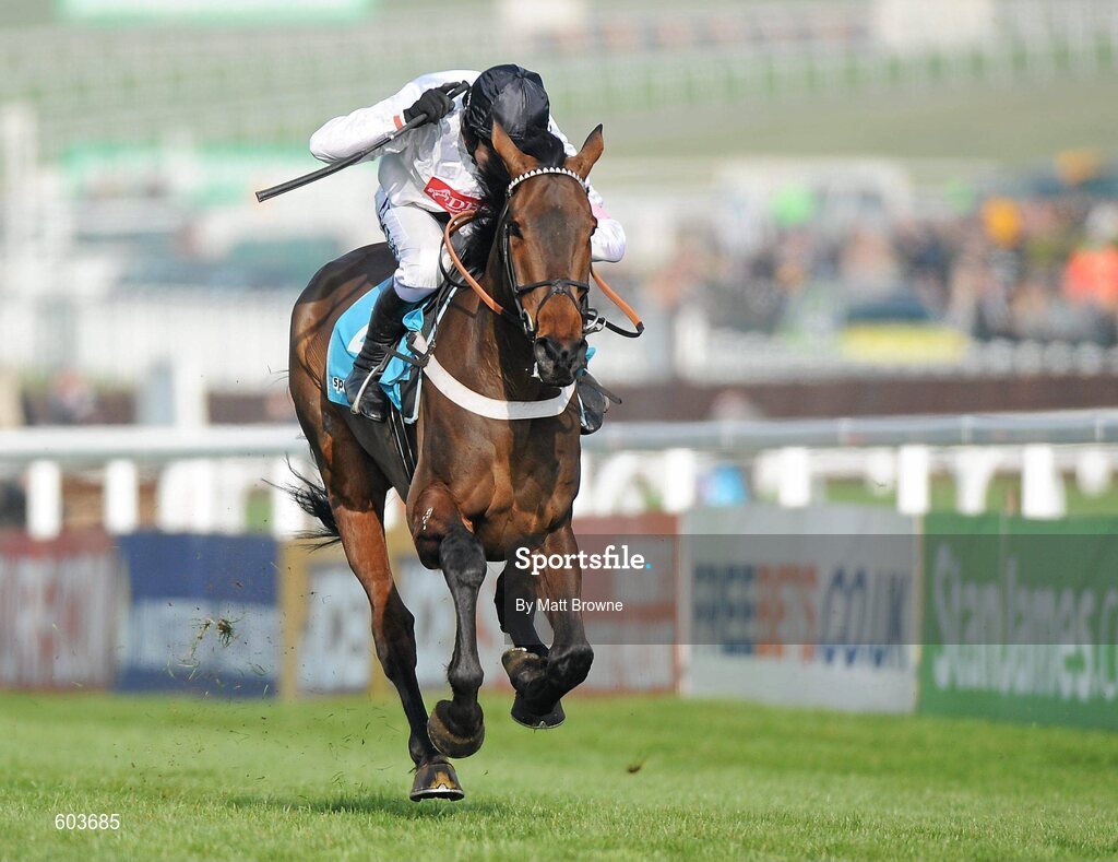 14 March 2012; Finian's Rainbow, with Barry Geraghty up, on the way to winning the sportingbet.com Queen Mother Champion Steeple Chase. Cheltenham Racing Festival, Prestbury Park, Cheltenham, England. Picture credit: Matt Browne / SPORTSFILE