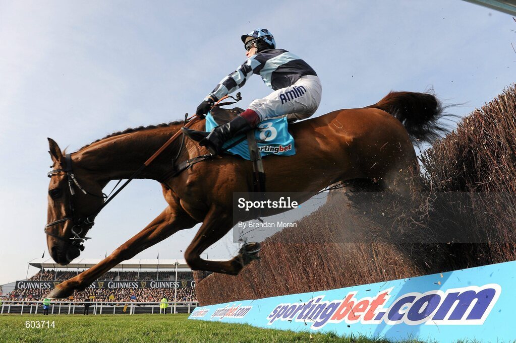 14 March 2012; Jockey Richard Johnson is unseated by his mount Wishful Thinking before crashing into a number of photographers and trackside personnel after they had jumped the 'last first time round' during the sportingbet.com Queen Mother Champion Steeple Chase. Cheltenham Racing Festival, Prestbury Park, Cheltenham, England. Picture credit: Brendan Moran / SPORTSFILE