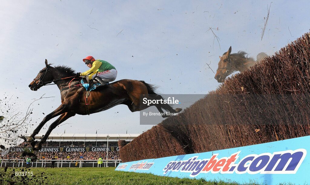 14 March 2012; Eventual second Sizing Europe, with Andrew Lynch up, clears the 'last first time' round ahead of eventual winner Finian's Rainbow, with Barry Geraghty up, during the sportingbet.com Queen Mother Champion Steeple Chase. Cheltenham Racing Festival, Prestbury Park, Cheltenham, England. Picture credit: Brendan Moran / SPORTSFILE