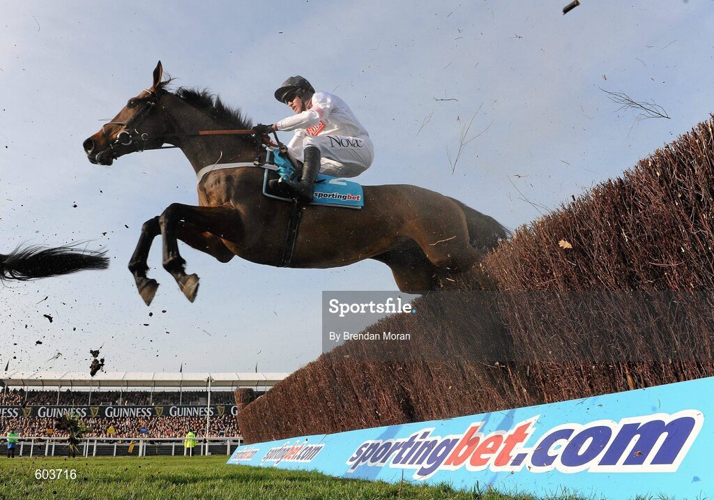 14 March 2012; Eventual winner Finian's Rainbow, with Barry Geraghty up, clears the 'last first time round' during the sportingbet.com Queen Mother Champion Steeple Chase. Cheltenham Racing Festival, Prestbury Park, Cheltenham, England. Picture credit: Brendan Moran / SPORTSFILE