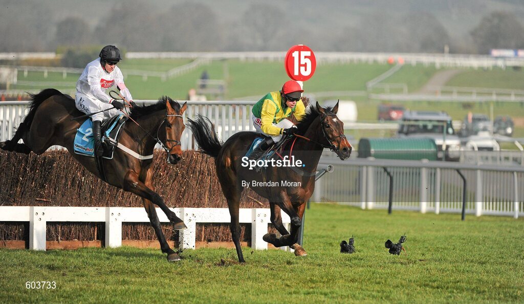 14 March 2012; Sizing Europe, with Andrew Lynch up, leads eventual winner Finian's Rainbow, left, with Barry Geraghty up, clear the 15th fence before they bypass what was to be the last during the sportingbet.com Queen Mother Champion Steeple Chase. Cheltenham Racing Festival, Prestbury Park, Cheltenham, England. Picture credit: Brendan Moran / SPORTSFILE