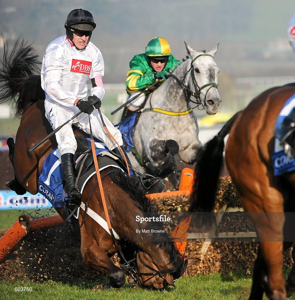 14 March 2012; Barry Geraghty is unseated by his mount Spirit River after jumping the last in the Coral Cup. Cheltenham Racing Festival, Prestbury Park, Cheltenham, England. Picture credit: Matt Browne / SPORTSFILE