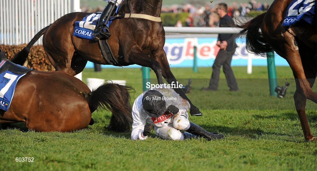 14 March 2012; Barry Geraghty is unseated by his mount Spirit River after jumping the last in the Coral Cup. Cheltenham Racing Festival, Prestbury Park, Cheltenham, England. Picture credit: Matt Browne / SPORTSFILE