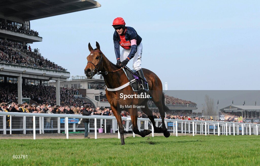 14 March 2012; Bobs Worth, with Barry Geraghty up, on the way to winning the RSA Steeple Chase. Cheltenham Racing Festival, Prestbury Park, Cheltenham, England. Picture credit: Matt Browne / SPORTSFILE