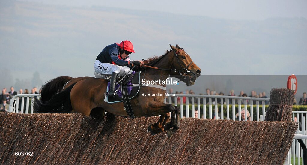 14 March 2012; Bobs Worth, with Barry Geraghty up, clears the last ahead of First Lieutenant, hidden, with Davy Russell up, on their way to winning the RSA Steeple Chase. Cheltenham Racing Festival, Prestbury Park, Cheltenham, England. Picture credit: Brendan Moran / SPORTSFILE