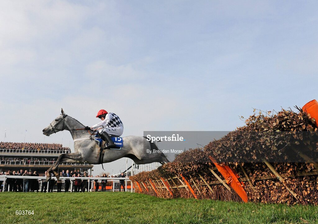 14 March 2012; Simonsig, with Barry Geraghty up, clears the last on their way to winning the Neptune Investment Management Novices' Hurdle. Cheltenham Racing Festival, Prestbury Park, Cheltenham, England. Picture credit: Brendan Moran / SPORTSFILE