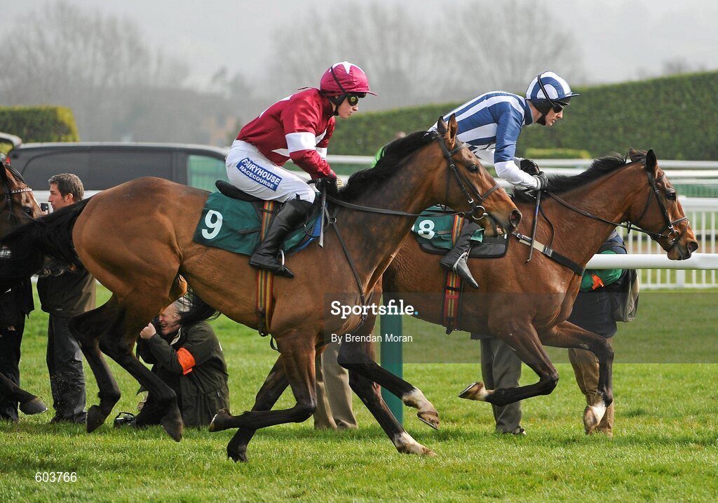 14 March 2012; Teaforthree, with John Thomas McNamara up, leads eventual third placed Four Commanders, with Nina Carberry up, over the last first time round, on their way to winning the Diamond Jubilee National Hunt Steeple Chase. Cheltenham Racing Festival, Prestbury Park, Cheltenham, England. Picture credit: Brendan Moran / SPORTSFILE