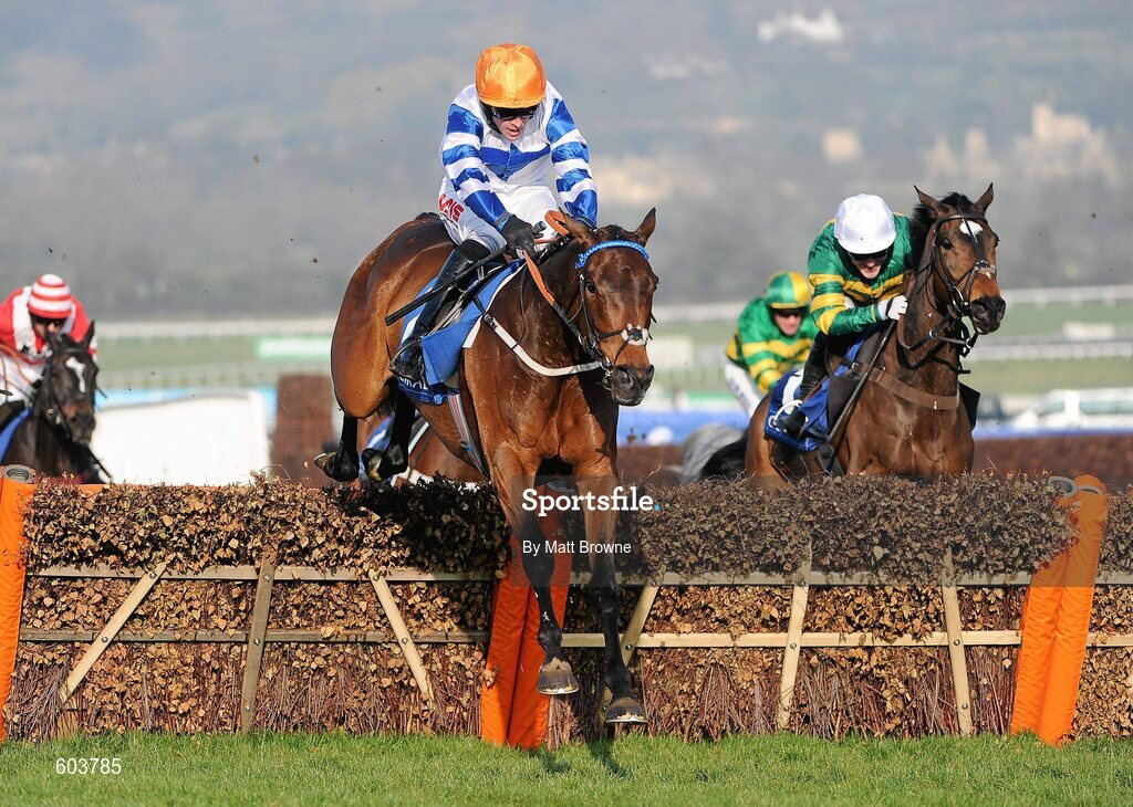 14 March 2012; Son of Flicka, with Jason Maguire up, jump the last on the way to winning the Coral Cup. Cheltenham Racing Festival, Prestbury Park, Cheltenham, England. Picture credit: Matt Browne / SPORTSFILE