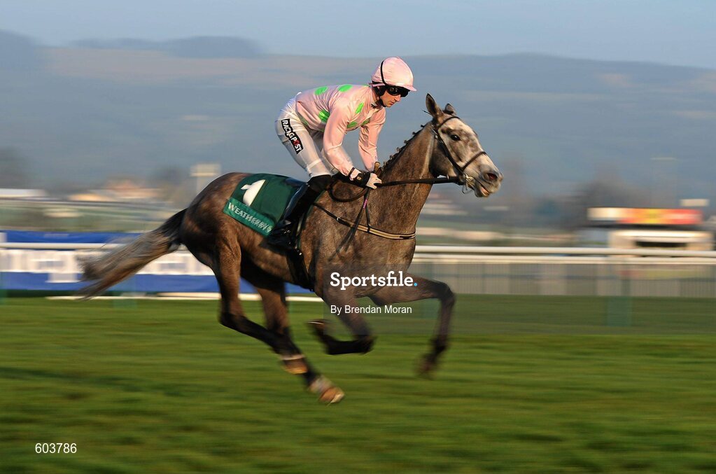 14 March 2012; Champagne Fever, with Patrick Mullins up, on their way to winning the Weatherbys Champion Bumper. Cheltenham Racing Festival, Prestbury Park, Cheltenham, England. Picture credit: Brendan Moran / SPORTSFILE
