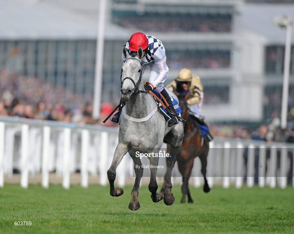 14 March 2012; Simonsig, with Barry Geraghty up, on the way to winning the Neptune Investment Management Novices' Hurdle. Cheltenham Racing Festival, Prestbury Park, Cheltenham, England. Picture credit: Matt Browne / SPORTSFILE