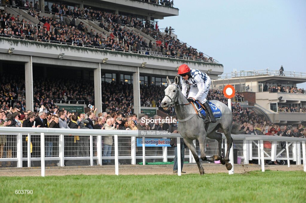 14 March 2012; Simonsig, with Barry Geraghty up, after winning the Neptune Investment Management Novices' Hurdle. Cheltenham Racing Festival, Prestbury Park, Cheltenham, England. Picture credit: Matt Browne / SPORTSFILE