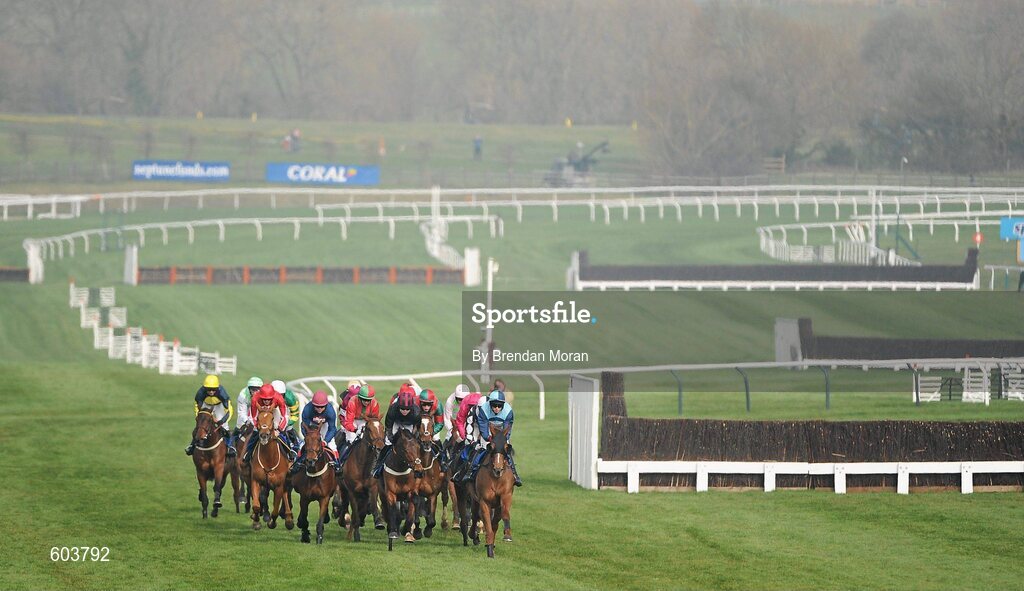14 March 2012; A general view of the field during the Neptune Investment Management Novices' Hurdle. Cheltenham Racing Festival, Prestbury Park, Cheltenham, England. Picture credit: Brendan Moran / SPORTSFILE