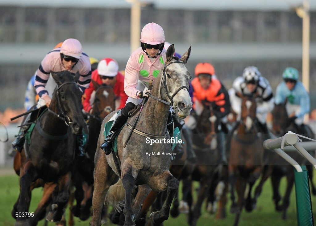 14 March 2012; Champagne Fever, with Patrick Mullins up, leads the field on the way to winning the Weatherbys Champion Bumper. Cheltenham Racing Festival, Prestbury Park, Cheltenham, England. Picture credit: Matt Browne / SPORTSFILE