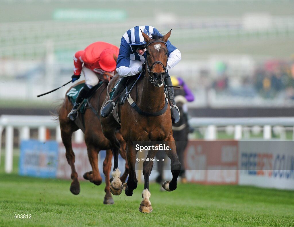14 March 2012; Teaforthree, with John Thomas McNamara up, on the way to winning the Diamond Jubilee National Hunt Steeple Chase. Cheltenham Racing Festival, Prestbury Park, Cheltenham, England. Picture credit: Matt Browne / SPORTSFILE