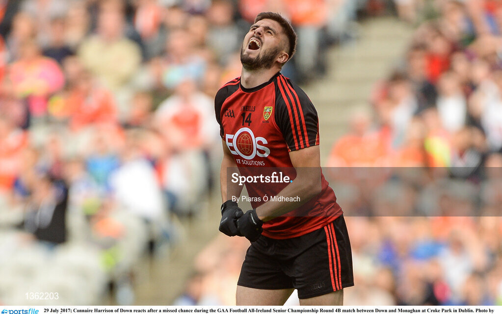 29 July 2017; Connaire Harrison of Down reacts after a missed chance during the GAA Football All-Ireland Senior Championship Round 4B match between Down and Monaghan at Croke Park in Dublin. Photo by Piaras Ó Mídheach/Sportsfile