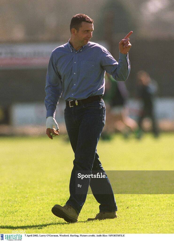 7 April 2002; Larry O'Gorman, Wexford. Hurling. Picture credit; Aoife Rice / SPORTSFILE