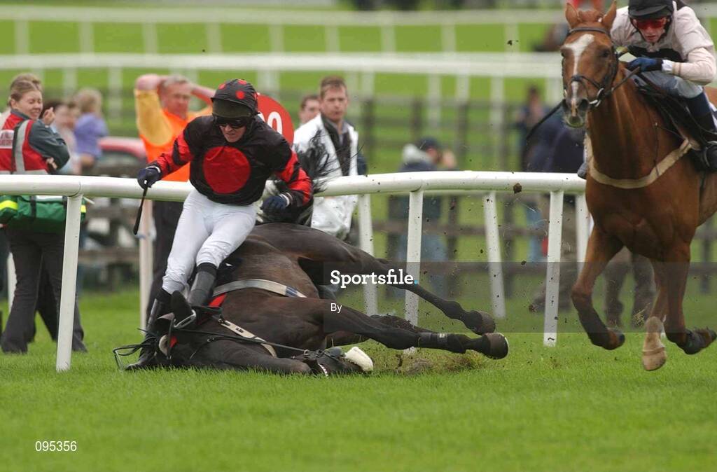 31 July 2002; Hip Pocket, left, with jockey Barry Geraghty falls as Teknash with Niall Madden Jnr. up, runs on to win the HP Software Acquisition Handicap Hurdle, Galway Races, Ballybrit, Co. Galway. Horse Racing. Picture credit; Damien Eagers / SPORTSFILE *EDI*