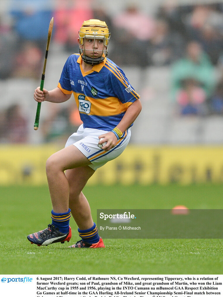 6 August 2017; Harry Codd, of Rathnure NS, Co Wexford, representing Tipperary, who is a relation of former Wexford greats; son of Paul, grandson of Mike, and great grandson of Martin, who won the Liam MacCarthy cup in 1955 and 1956, playing in the INTO Cumann na mBunscol GAA Respect Exhibition Go Games at half-time in the GAA Hurling All-Ireland Senior Championship Semi-Final match between Galway and Tipperary at Croke Park in Dublin. Photo by Piaras Ó Mídheach/Sportsfile