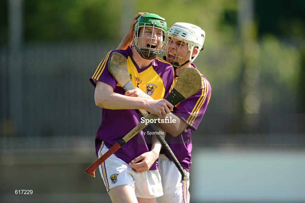 5 May 2012; Liam Ryan, left, and Conor Devitt, Wexford, celebrate at the end of the game. Electric Ireland Leinster GAA Hurling Minor Championship, Dublin v Wexford, Parnell Park, Dublin. Photo by Sportsfile