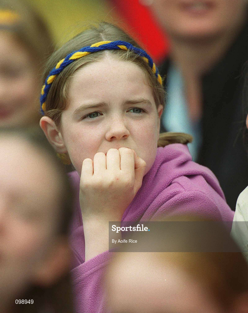 15 September 2002; A Tipperary supporter watches on during the All-Ireland Senior Camogie Championship Final match between Cork and Tipperary at Croke Park in Dublin. Photo by Aoife Rice/Sportsfile